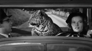 Taking a leopard in the car is probably not the best idea. In fact, it might be the worst.