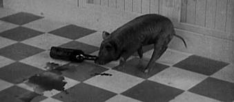 If there was ever an image that conveyed the depravity  that has always existed, it's a drunk-ass pig.